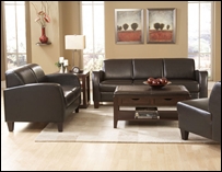 Allen 2 pc. Sofa Set in Chocolate